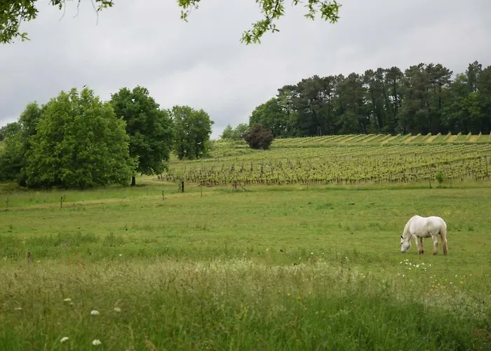 Chez Claude Et Aline Semesterbostad